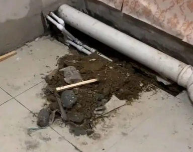 湖滨卫生间漏水检测哪家好